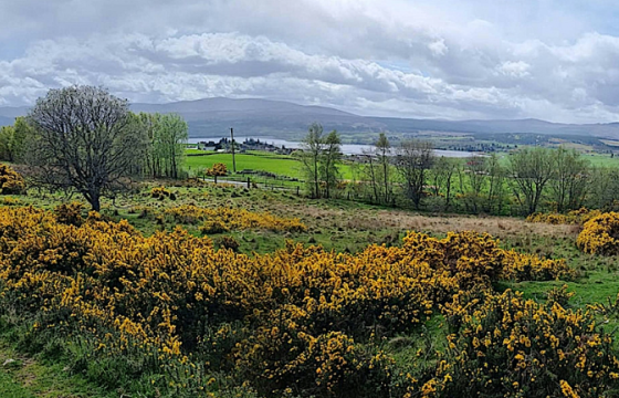 Building Plots in Bonar Bridge photo
